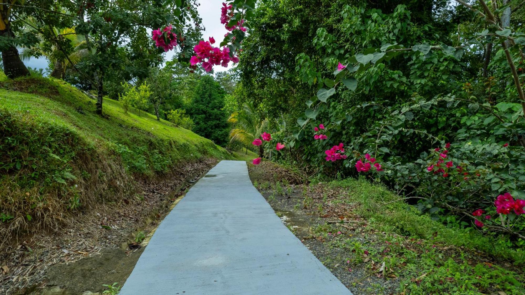 Serenity Rainforest Condos La Fortuna Exterior photo